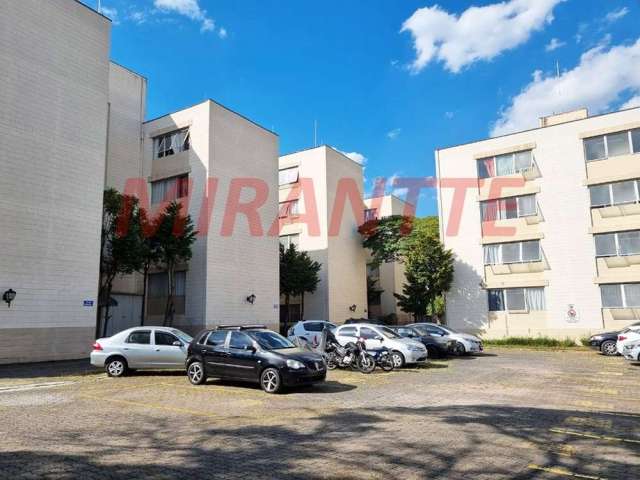 Apartamento de 50m² com 2 quartos em Lauzane Paulista