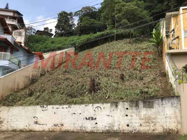 Terreno em Vila Irmaos Arnoni