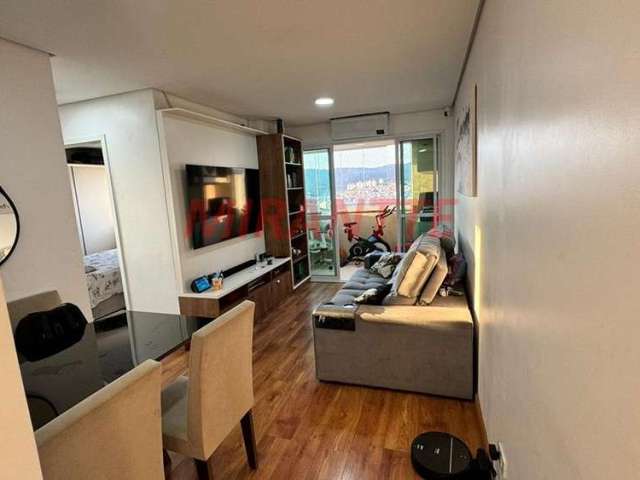 Apartamento com 2 quartos em Vila Amalia