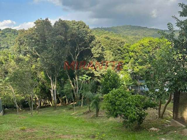 Terreno em Serra Da Cantareira