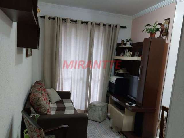 Apartamento com 3 quartos em Vila Amelia