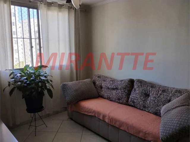 Apartamento de 63m² com 2 quartos em Lauzane Paulista