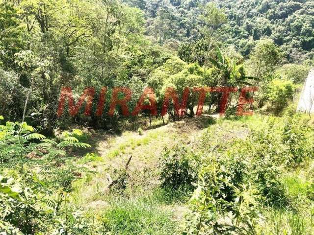 Terreno de 1443m² em São Vicente