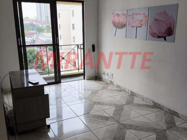 Apartamento de 64m² com 3 quartos em Lauzane Paulista