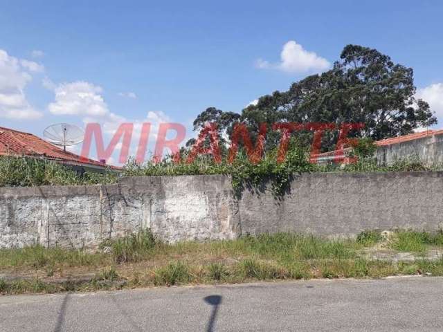 Terreno em Barro Branco