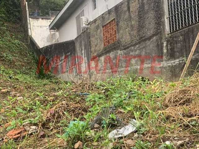 Terreno em Vila Gustavo