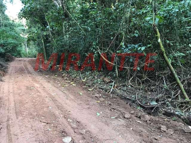 Terreno em Serra Da Cantareira