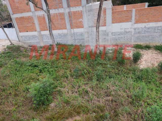 Terreno em Palmas Do Tremembé