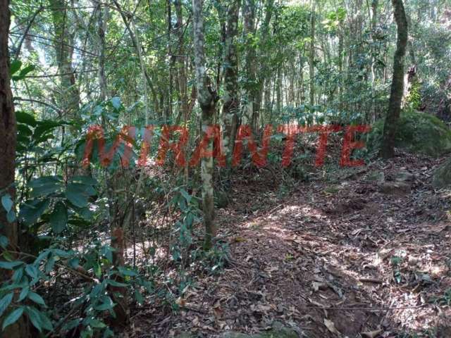 Terreno em Serra Da Cantareira