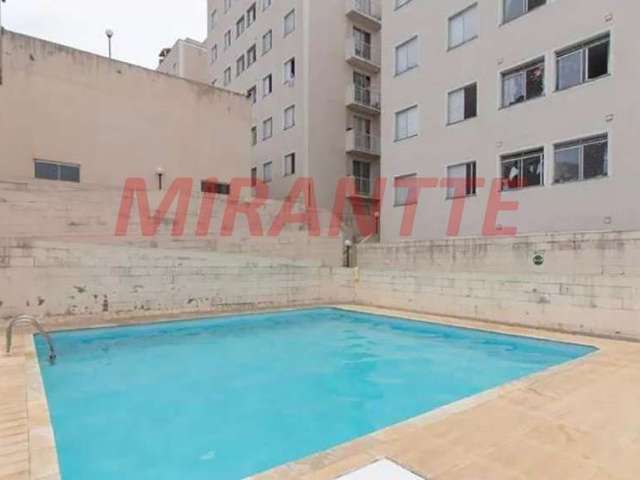 Apartamento com 3 quartos em Vila Amalia