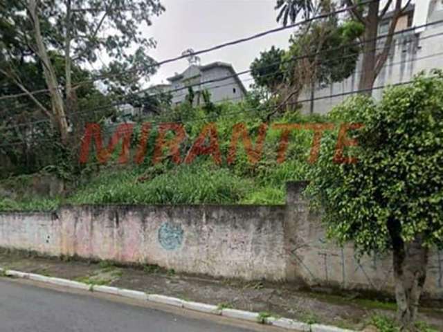 Terreno em Vila Albertina