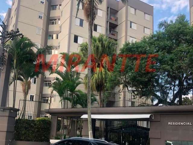 Apartamento de 94m² com 3 quartos em Vila Aurora (Zona Norte)