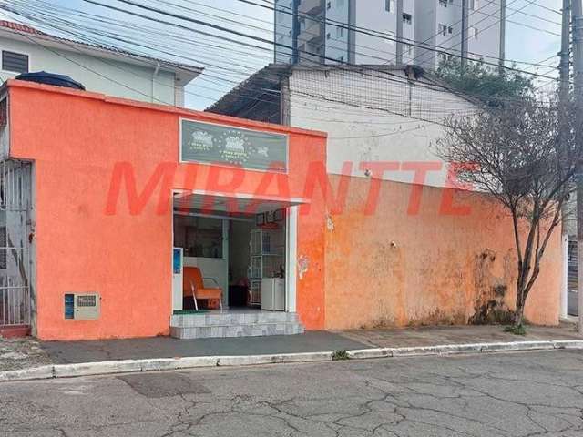 Casa terrea de 300m² com 6 quartos em Vila Mazzei