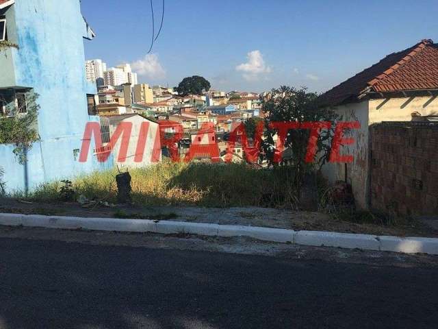 Terreno em Limão