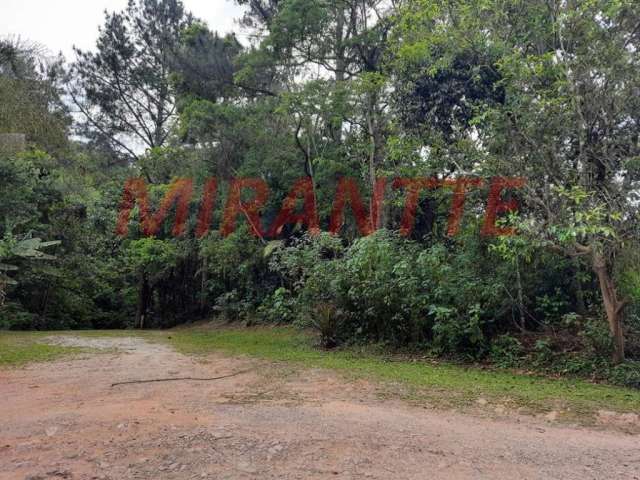 Terreno em Serra Da Cantareira