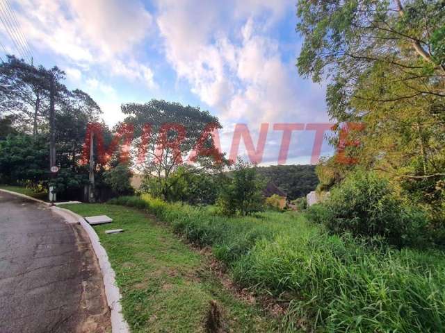 Terreno em Serra Da Cantareira