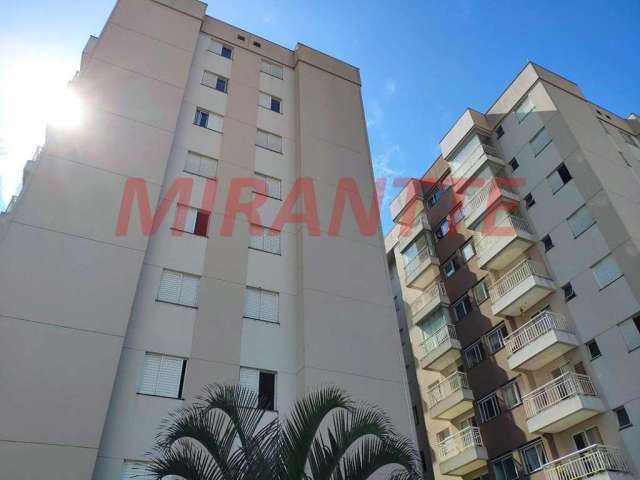 Apartamento de 55m² com 3 quartos em Vila Amalia