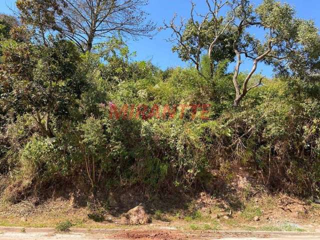 Terreno em Serra Da Cantareira