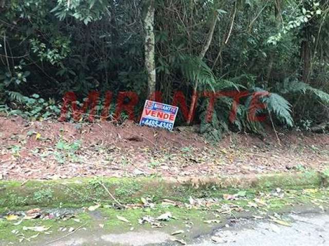 Terreno em Serra Da Cantareira