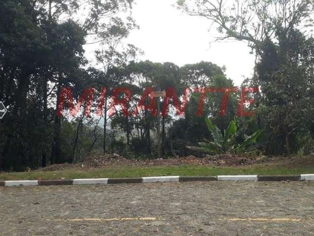 Terreno em Serra Da Cantareira