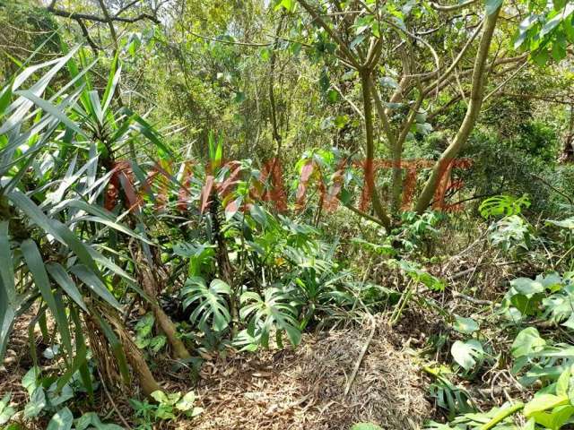 Terreno em Serra Da Cantareira