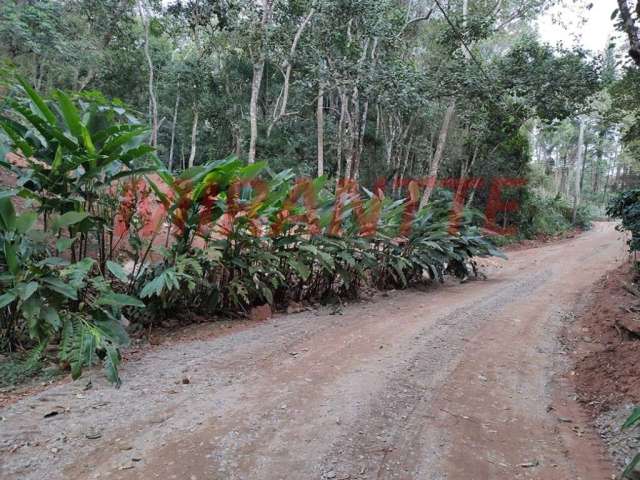 Terreno em Serra Da Cantareira