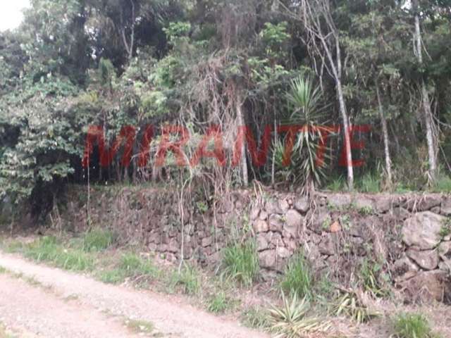 Terreno em Serra Da Cantareira