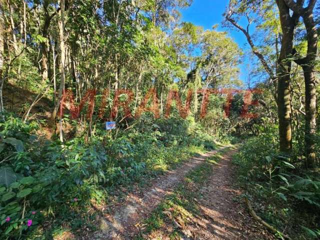 Terreno em Serra Da Cantareira