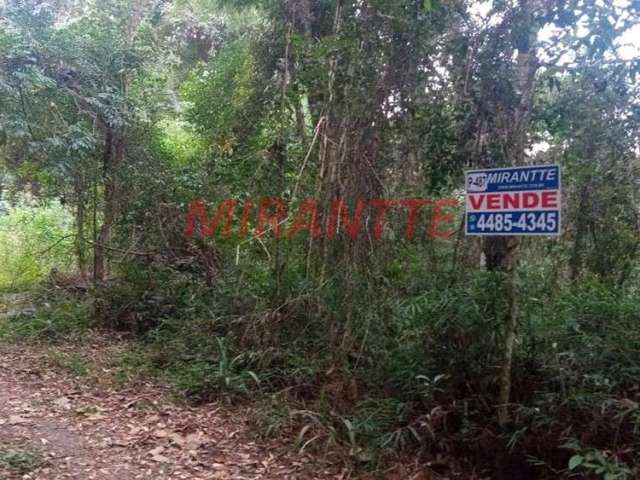 Terreno em Serra Da Cantareira