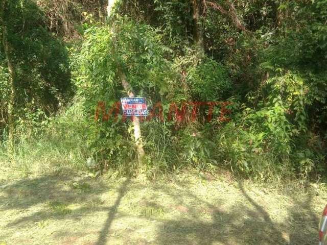 Terreno em Serra Da Cantareira