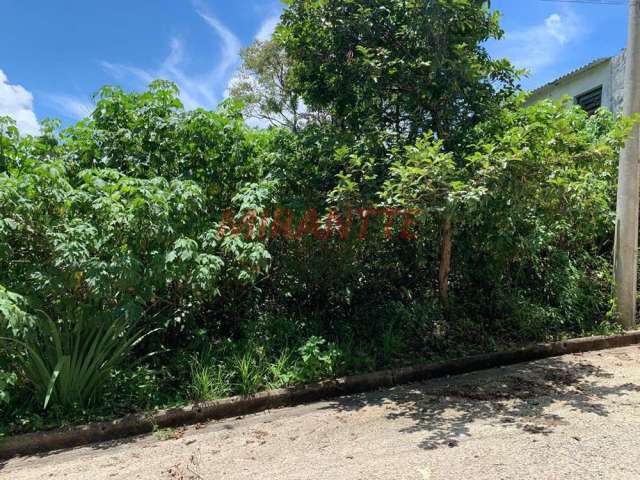 Terreno em Serra Da Cantareira