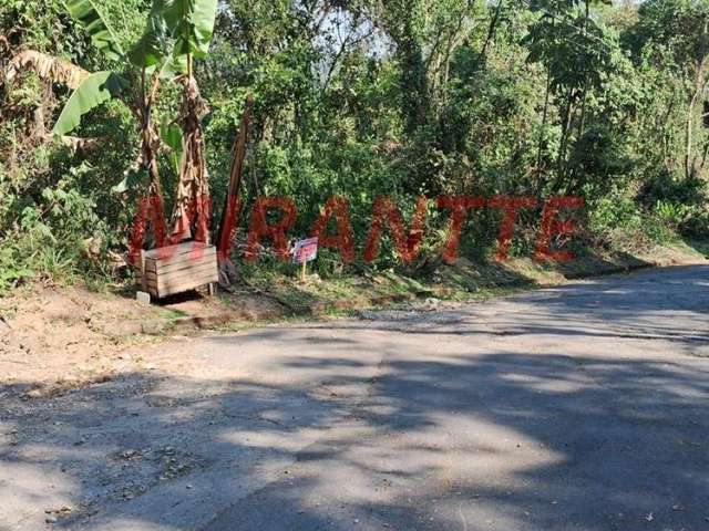 Terreno em Serra da Cantareira