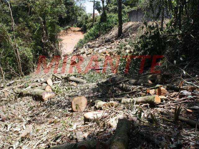 Terreno em Serra Da Cantareira