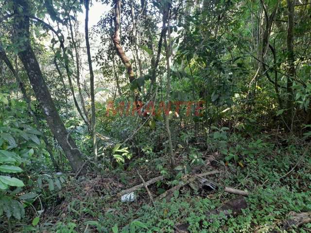 Terreno em Serra Da Cantareira