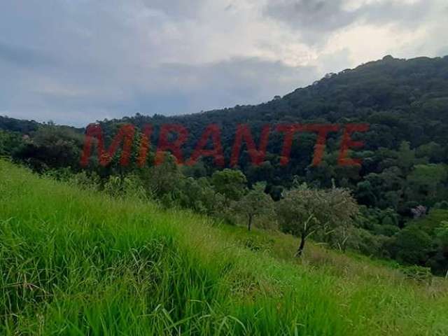 Terreno em Serra Da Cantareira