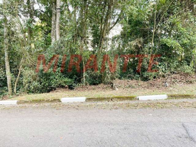 Terreno em parque suiça