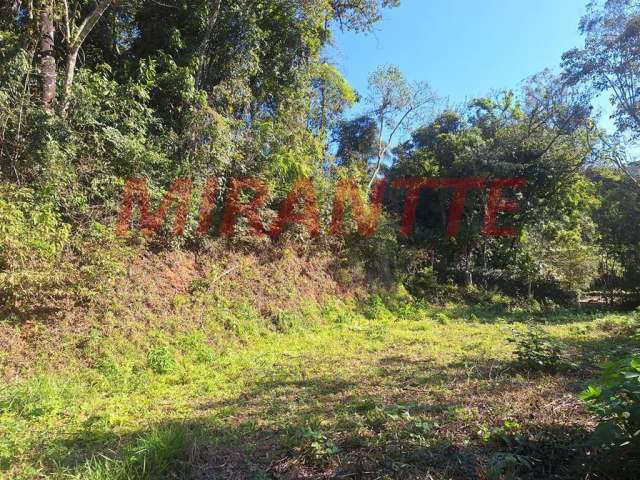 Terreno em Roseira