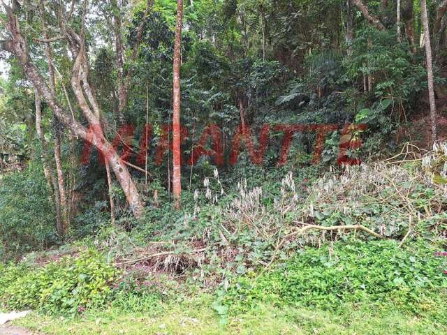 Terreno de 11.9m² em Caraguata