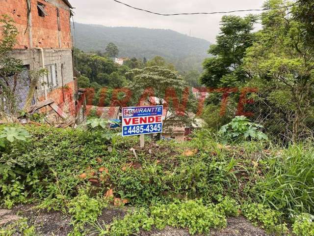 Terreno em SANTA INÊS