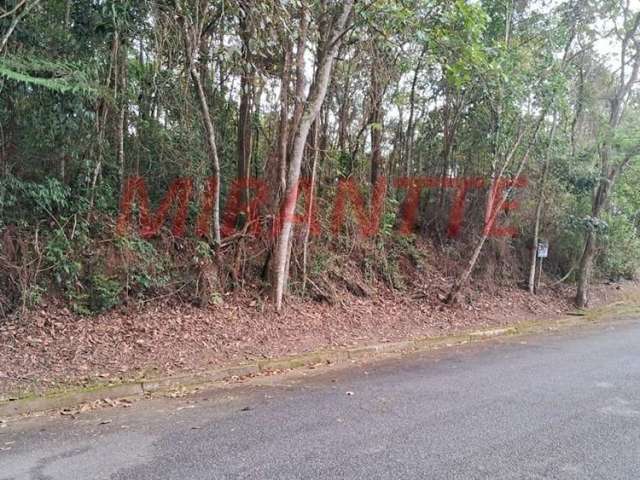 Terreno em Caraguata