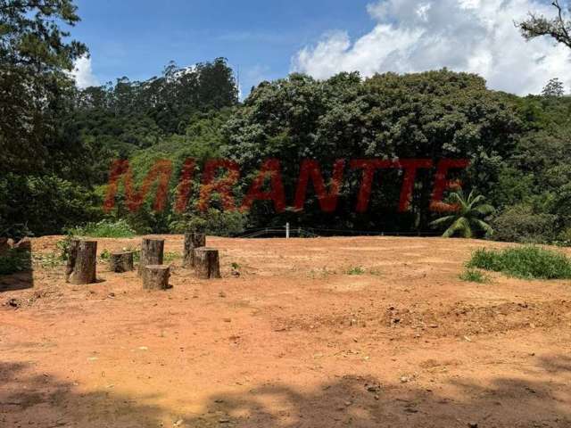 Terreno em Roseira