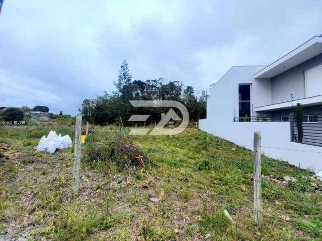 Terreno para Venda em Caxias do Sul, DIAMANTINO