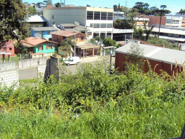 Terreno à venda na Rua Ângelo Lourenço Tesser, De Lazzer, Caxias do Sul por R$ 900.000