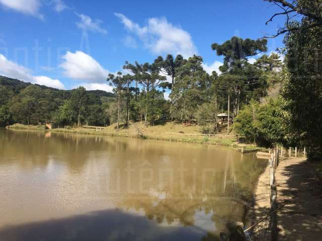 Chácara / sítio à venda na Estrada Pará, São Gotardo (Distrito), Flores da Cunha por R$ 6.000.000