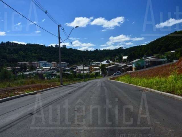 Terreno à venda na Rua Amélia Pinguella Bonatto, São Luiz, Caxias do Sul por R$ 197.500