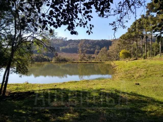 Chácara / sítio à venda na Estrada do Vinho, Loreto, Caxias do Sul por R$ 425.000