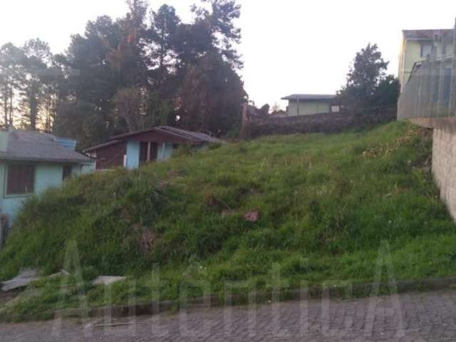 Terreno à venda na Rua Vercidino Jesus de Souza, São Caetano, Caxias do Sul por R$ 190.000