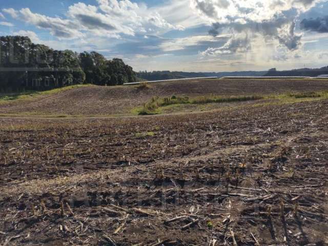 Terreno à venda na Linha Palmeiro, Km 1,8,  Farroupilha RS, Centro, Farroupilha por R$ 7.500.000