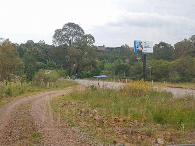 Chácara / sítio com 4 quartos à venda na Às margens da Rota do Sol, 00, Vila Seca, Caxias do Sul por R$ 950.000