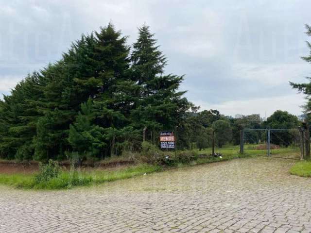 Terreno à venda na Rua Dr.Emilio Ataliba Finger esquina com Rua Cesare Cabruzzi, Vinhedos, Caxias do Sul por R$ 12.000.000